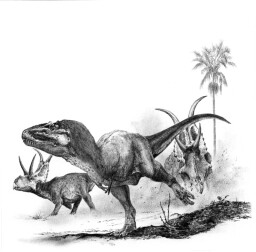 Lythronax a Diabloceratops